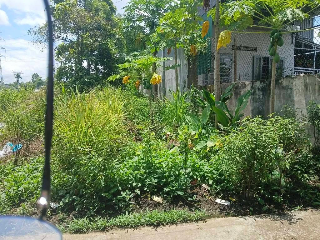 Bán lô đất hẻm 131 Tạ Quang Bửu, 100m², Quận 6, 225 triệu - Ảnh thu nhỏ 2