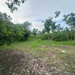 Bán 3ha đất cao su Bù Gia Mập, Bình Phước - Ảnh thu nhỏ 2