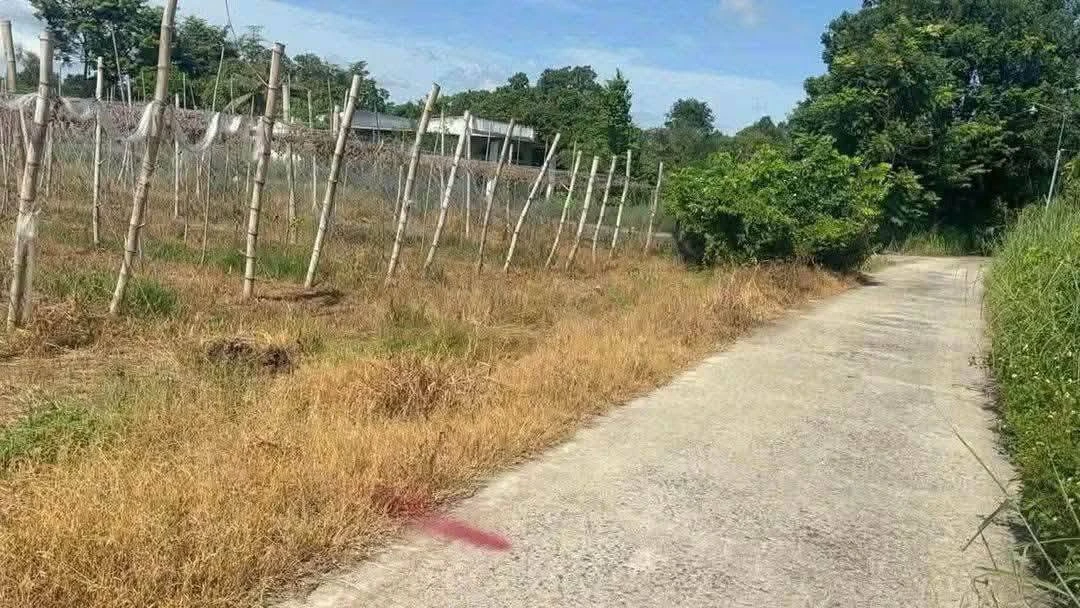 Bán đất khu phố Thanh Hưng An Lộc Đồng Nai 12.500m² - Ảnh thu nhỏ 3