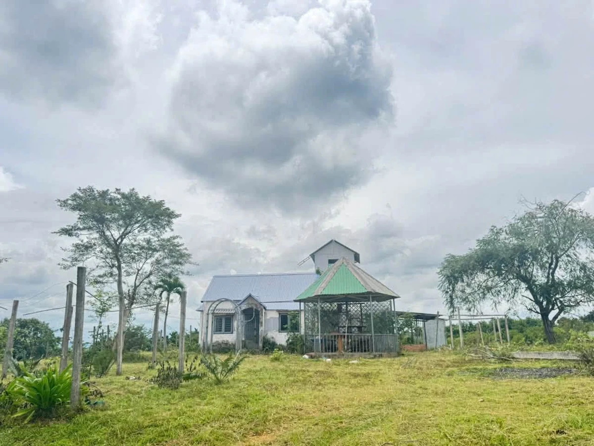 Bán đất 2ha Eakao Buôn Mê Thuột 400 triệu/sào - Ảnh 1