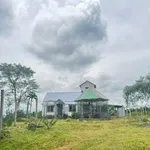 Bán đất 2ha Eakao Buôn Mê Thuột 400 triệu/sào - Ảnh thu nhỏ 1