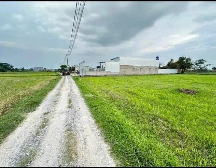 Bán 1000m2 đất vườn có 300m2 thổ cư, sổ hồng riêng, Mỹ Hạnh Nam, Đức Hòa, Long An - Ảnh thu nhỏ 4