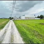 Bán 1000m2 đất vườn có 300m2 thổ cư, sổ hồng riêng, Mỹ Hạnh Nam, Đức Hòa, Long An - Ảnh thu nhỏ 4