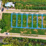Bán nền đất 75m² Diên Khánh, 945 triệu, sổ hồng - Ảnh thu nhỏ 2