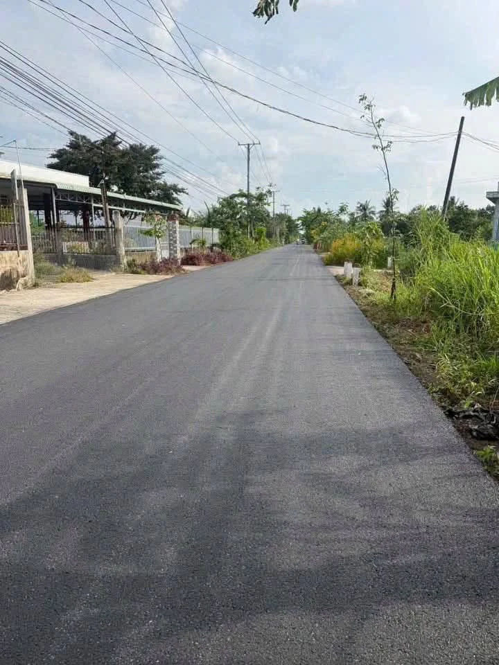 Bán đất mặt tiền Lộ Dừa 200m² Tây Ninh - Ảnh thu nhỏ 5