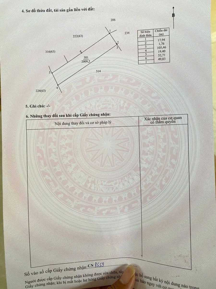 Bán đất lúa 2 công Ấp Bình Ân, Long An - Ảnh thu nhỏ 3