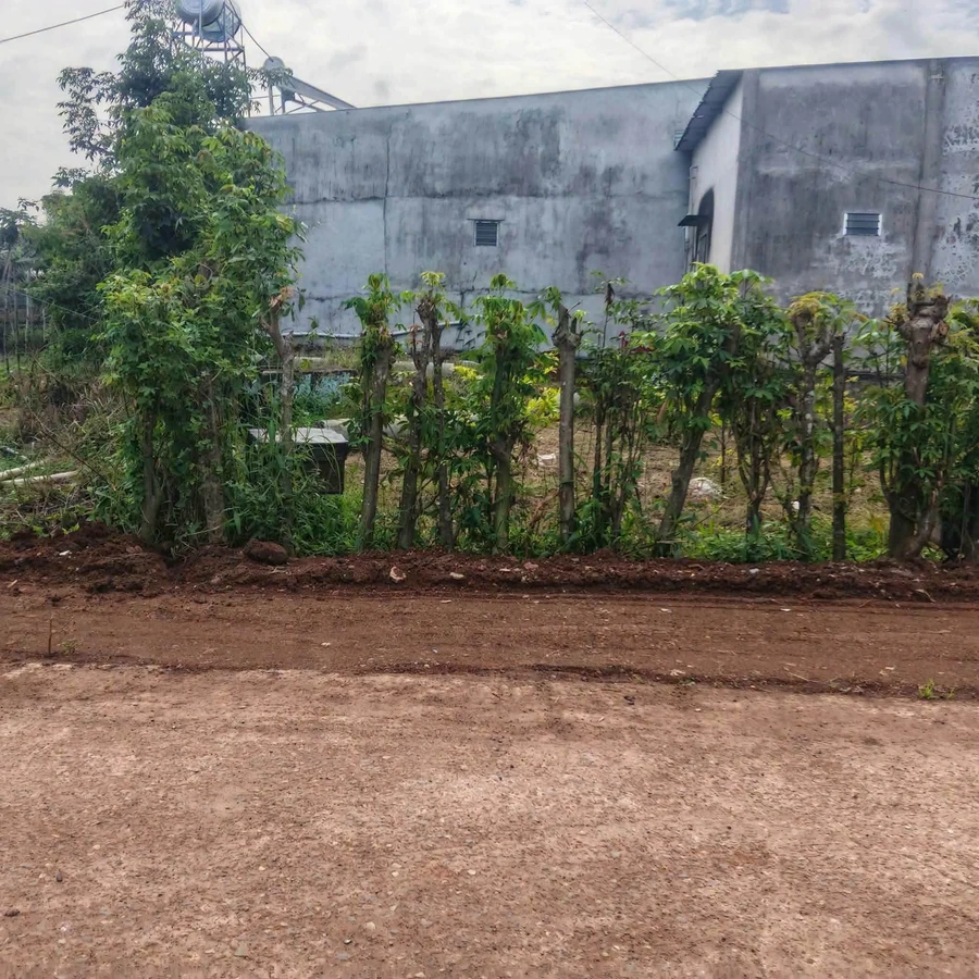 Bán đất mặt tiền Đường 29, 100m2, Châu Đức, 640 triệu - Ảnh thu nhỏ 3
