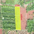 2,1 sào mặt tiền đường nhựa Vành Đai km18 nối tuyến QL14-QL26 2,73 tỷ - Ảnh thu nhỏ 8