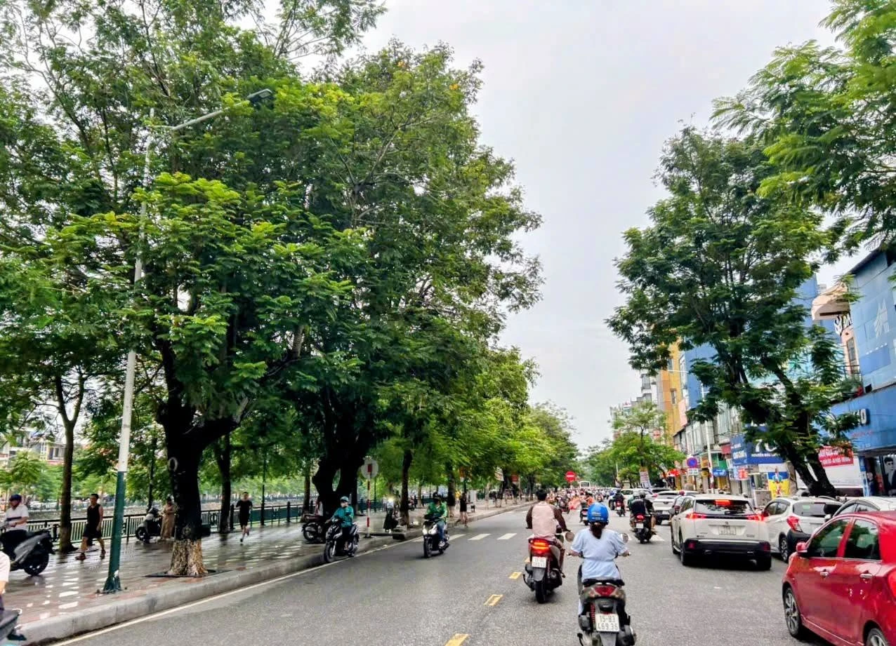 Bán nhà phân lô Cát Cụt 90m² có thang máy 11,3 tỷ - Ảnh 1