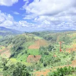 Đất đồi Konturang view đẹp. Gần thác Pa Sỹ khu hot ở Măng Đen - Ảnh thu nhỏ 1