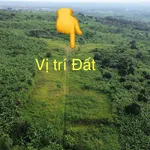 Bán đất 1.000m² mặt tiền Gia Kiệm, Đồng Nai 200 triệu - Ảnh thu nhỏ 5