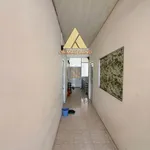 Bán dãy trọ lô góc 2 mặt tiền 241m² Cà Mau, dòng tiền ổn định - Ảnh thu nhỏ 5