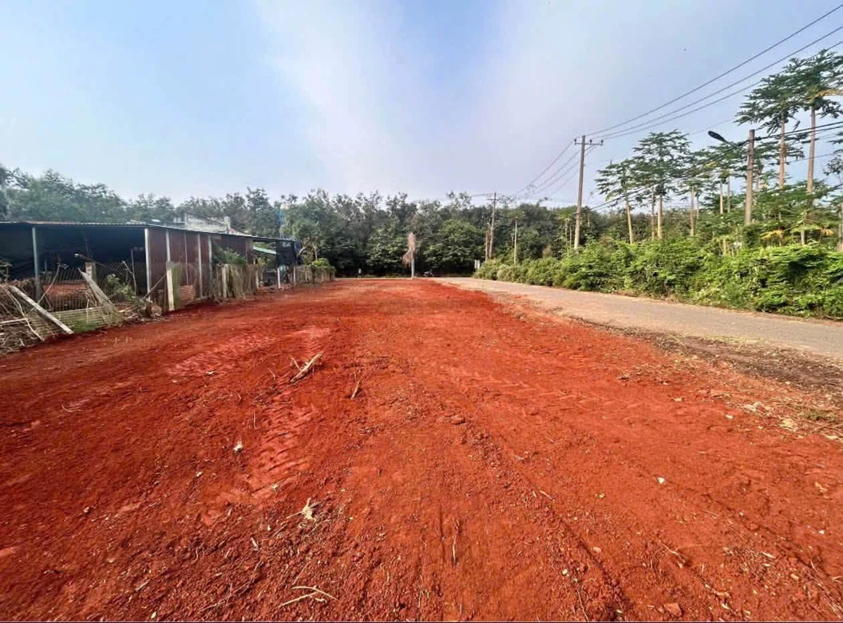Bán đất góc 2 mặt tiền 569m² Nhà Bè 4 tỷ 300 - Ảnh thu nhỏ 2