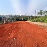 Bán đất góc 2 mặt tiền 569m² Nhà Bè 4 tỷ 300 - Ảnh thu nhỏ 2