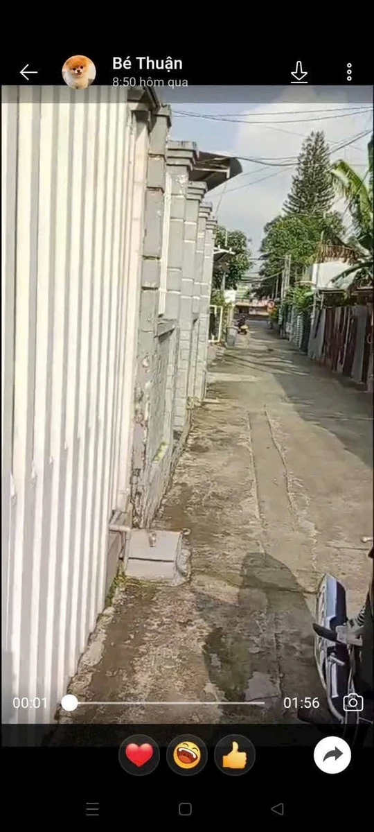 Bán nhà 100m² sổ riêng gần trường học Tân Bình, Đồng Nai - Ảnh thu nhỏ 3