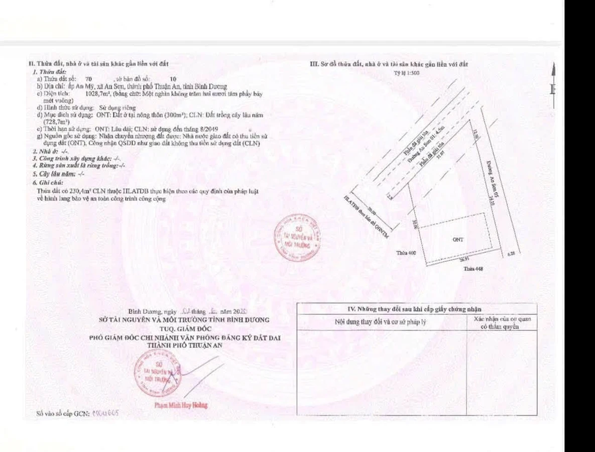 Bán đất An Sơn Thuận An 1028m² góc 2 mặt tiền 12 tỷ - Ảnh thu nhỏ 4