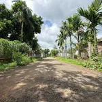 Bán đất Tân An, Buôn Ma Thuột 60m² - 1,35 tỷ - Ảnh thu nhỏ 1