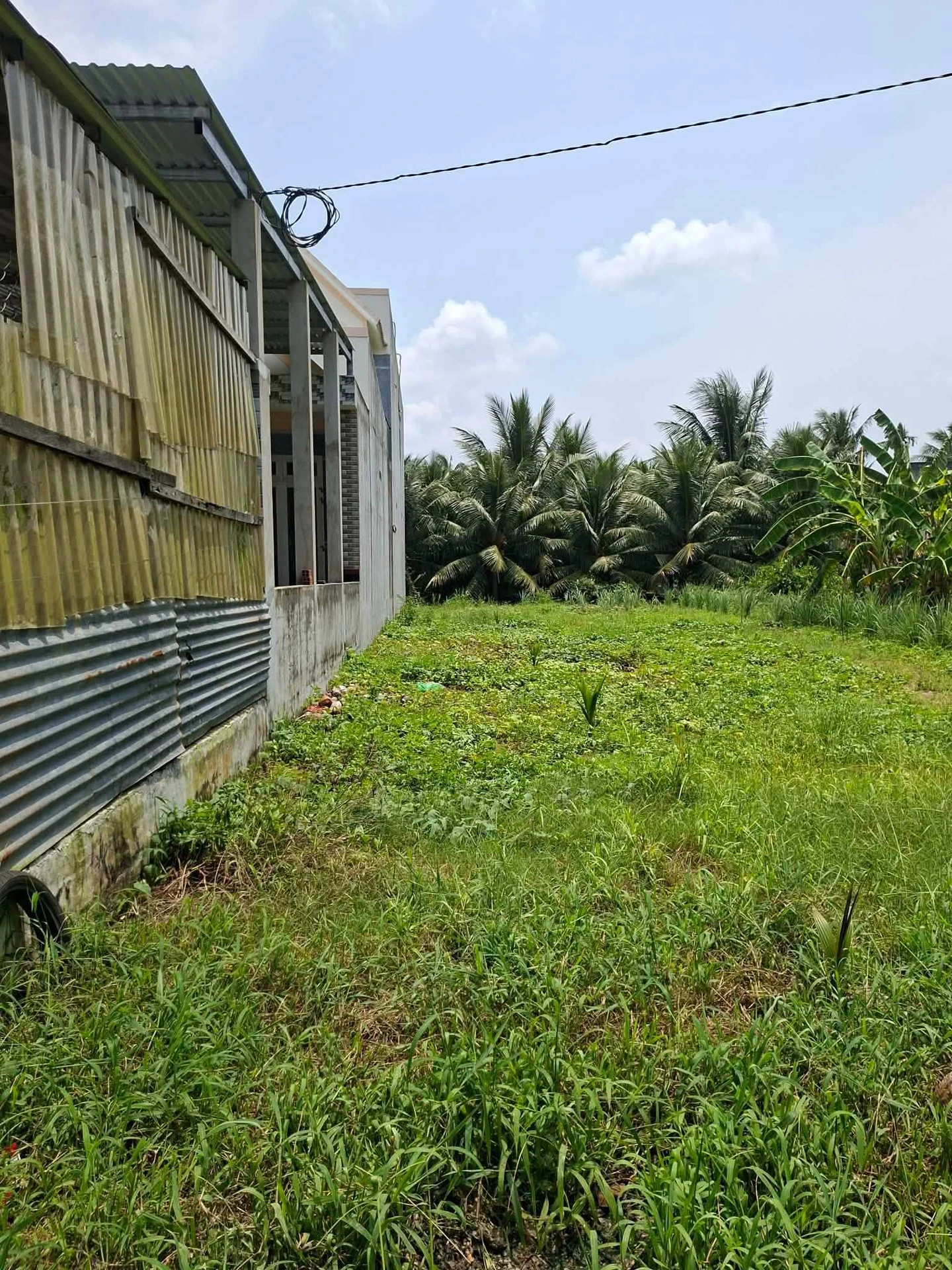 Bán nền đất 70m² mặt tiền 6m Phú Túc Hóc Môn - Ảnh 1