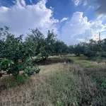 Bán đất vườn 1.172m² Tân Uyên Bình Dương 4 tỷ - Ảnh thu nhỏ 5