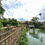 Nhà vườn Buôn Ma Thuột 1000m2 gần chợ Đạt Lý, giá 3.9 tỷ - Ảnh thu nhỏ 1