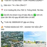 Bán đất 79,8m² mặt tiền đường N5, Bình Chánh 1,75 tỷ - Ảnh thu nhỏ 1
