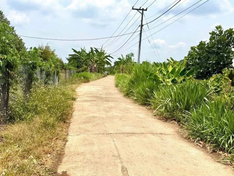 Bán đất Phú Lộc Tân Phú Đồng Nai 240m² 399 triệu