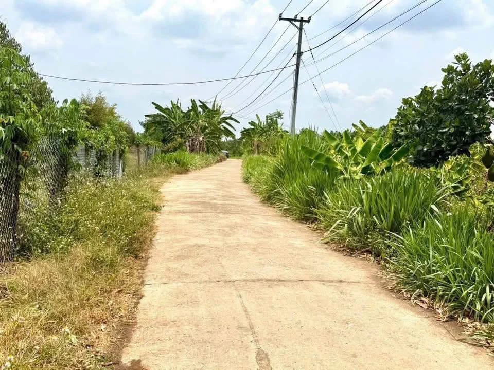 Bán đất Phú Lộc Tân Phú Đồng Nai 240m² 399 triệu - Ảnh 1