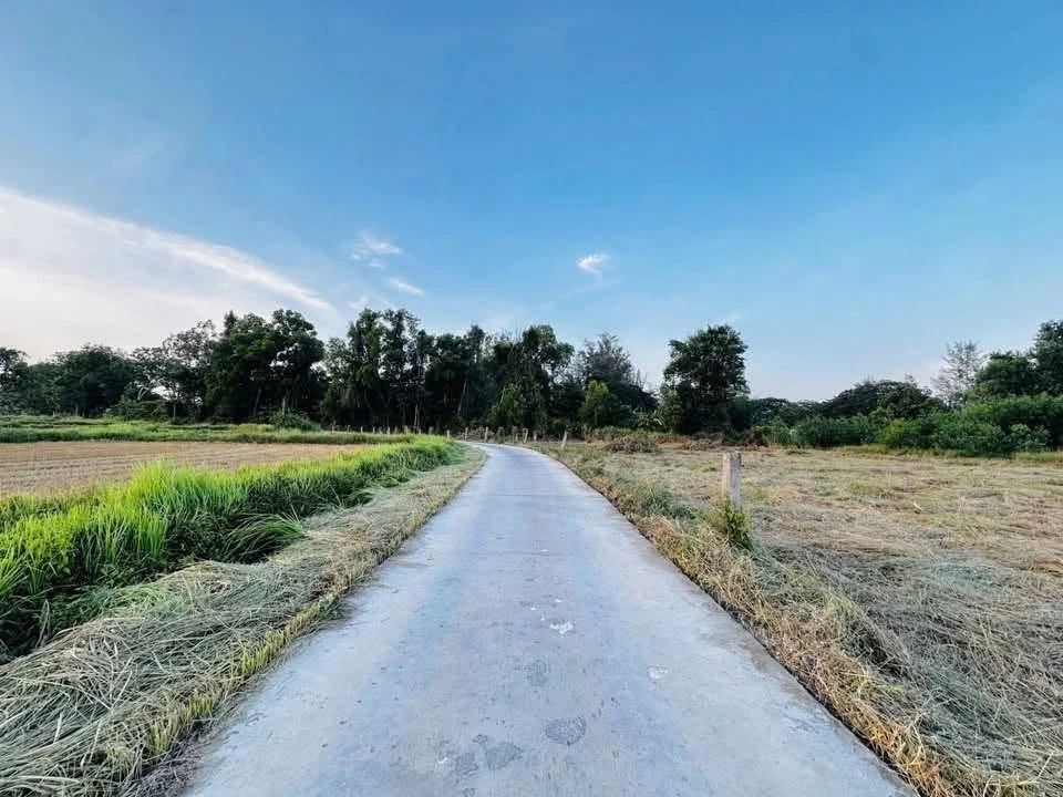Bán lô đất nền 1000m2 ở Lâm Đồng giá 390 triệu - Ảnh thu nhỏ 3