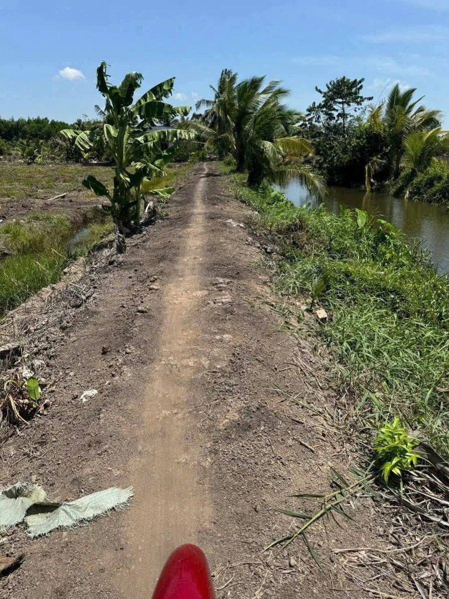 Bán 4800m2 đất vườn trồng dừa, chanh, ổi giá 1,9 tỷ tại xã Thạnh Lợi, Tây Ninh - Ảnh thu nhỏ 5