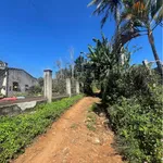 Bán đất thổ cư 180m² góc 2 mặt tiền Km19 Quốc Lộ 26 - Ảnh thu nhỏ 3