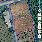 Bán đất 500m² Bình Chánh 520 triệu, sổ riêng - Ảnh thu nhỏ 2