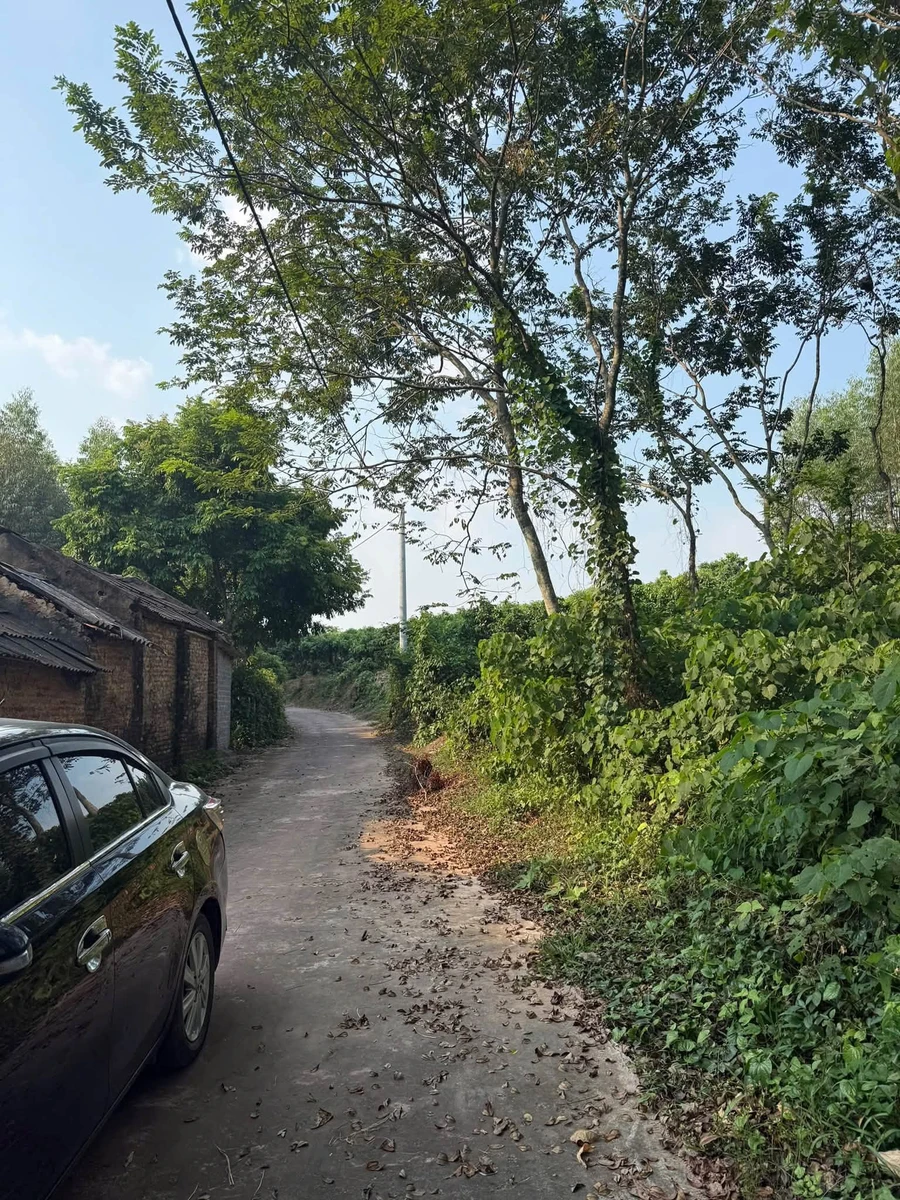Bán mảnh vườn 4000m² tại Yên Thế, Bắc Ninh - Ảnh thu nhỏ 3