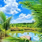 Bán đất vườn 200m² mặt tiền 38m gần Long Khánh - Ảnh thu nhỏ 1