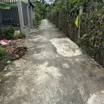 Bán nền đất Phú Tân Bến Tre 141m², 700 triệu - Ảnh thu nhỏ 3