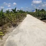 Bán đất thổ 2080m² Long Trì, Châu Thành, Long An - Ảnh thu nhỏ 3