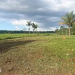 Bán lô đất 960m² Cư Kuin Đắk Lắk 1 tỷ 350 triệu - Ảnh thu nhỏ 4