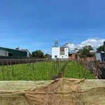 Bán đất mặt tiền Nguyễn Văn Cừ Đức Trọng 300m2 giá 10 tỷ - Ảnh thu nhỏ 1