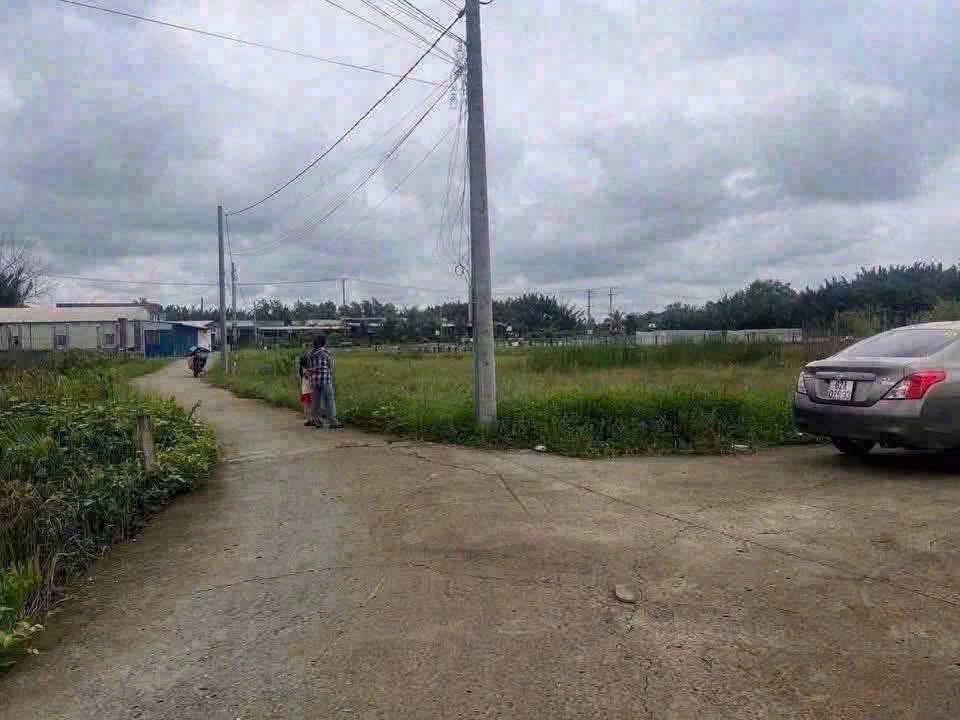 Bán đất 600m² toàn bộ thổ cư Tân Chánh, Cần Đước, Long An 1 tỷ 700 triệu - Ảnh thu nhỏ 2