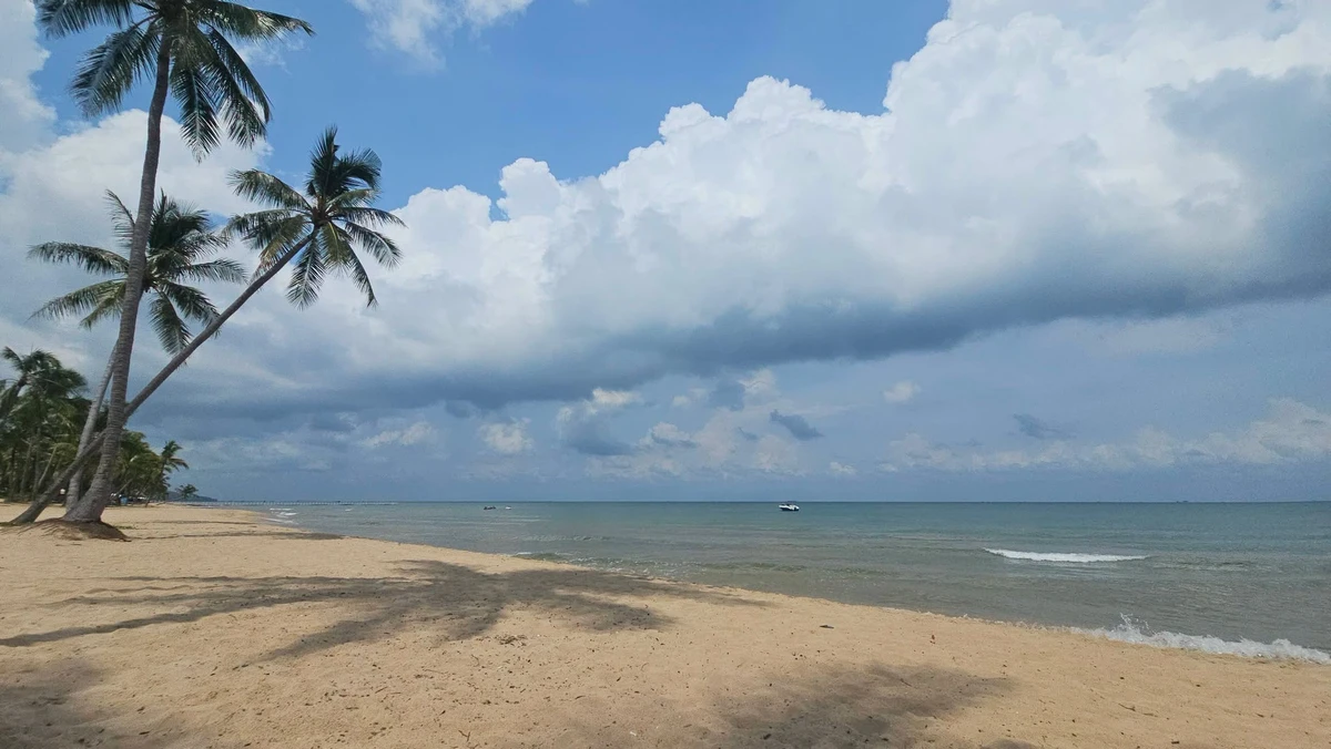 Bán đất 1000m2 gần biển Bãi Trường Phú Quốc 9,9 tỷ - Ảnh thu nhỏ 2