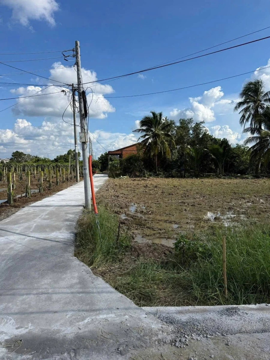 Bán đất thổ cư 5x25m giá 310 triệu, xã Thuận Mỹ, Tây Ninh - Ảnh thu nhỏ 3