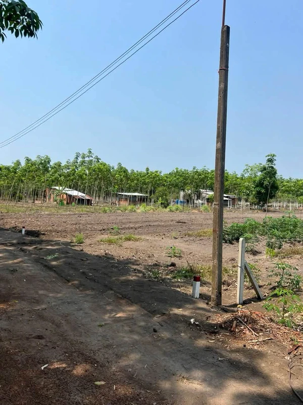 Bán lô đất sào 1000m2 giá 299 triệu tại phường Chơn Thành, Bình Phước