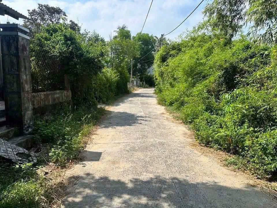 Bán lô đất 249,7m² mặt tiền Phú Hoà, Đắk Lắk - Ảnh 1