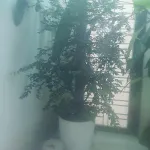 Bán nhà chính chủ khu đô thị Kỳ Đồng - Ảnh thu nhỏ 5
