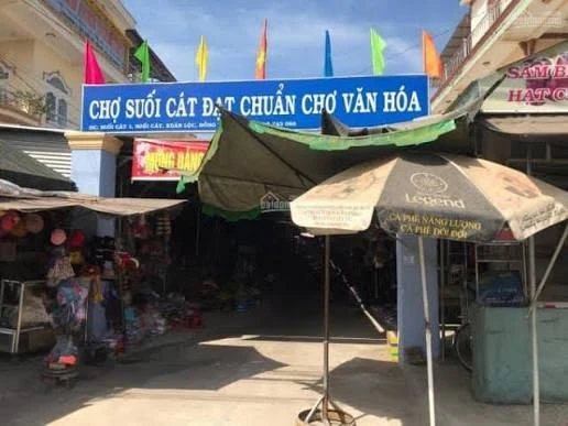 Bán đất 165m2 (80m2 thổ cư) mặt tiền nhựa Lò Than, sau chợ Suối Cát, giá 690 triệu - Ảnh 1