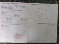 Cực rẻ, chỉ 75 triệu mua được 1,85ha đất rừng sản xuất - Ảnh thu nhỏ 4