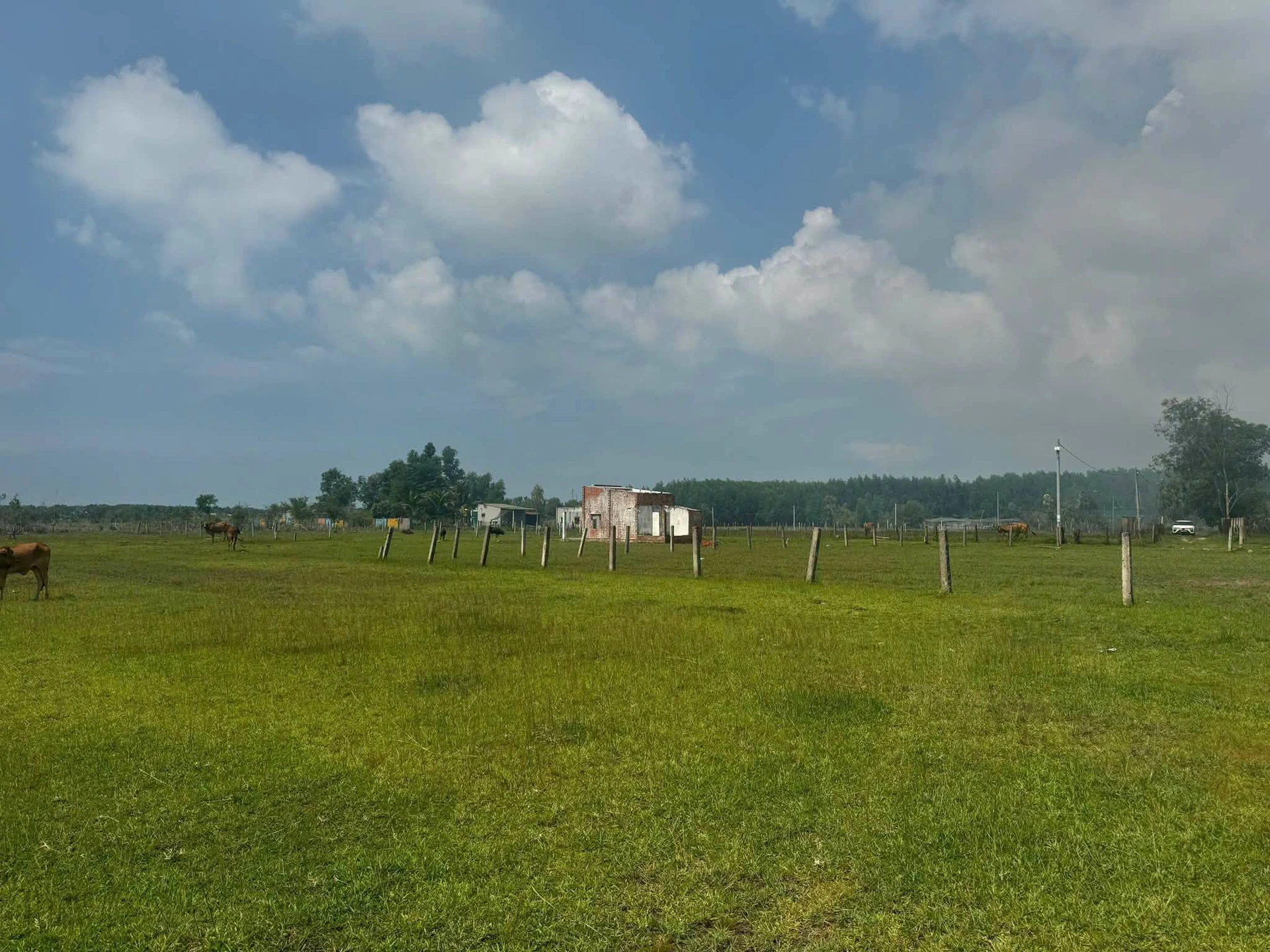 Bán đất Lạc Gì Lâm Đồng 1360m² 1 tỷ 3 - Ảnh 1