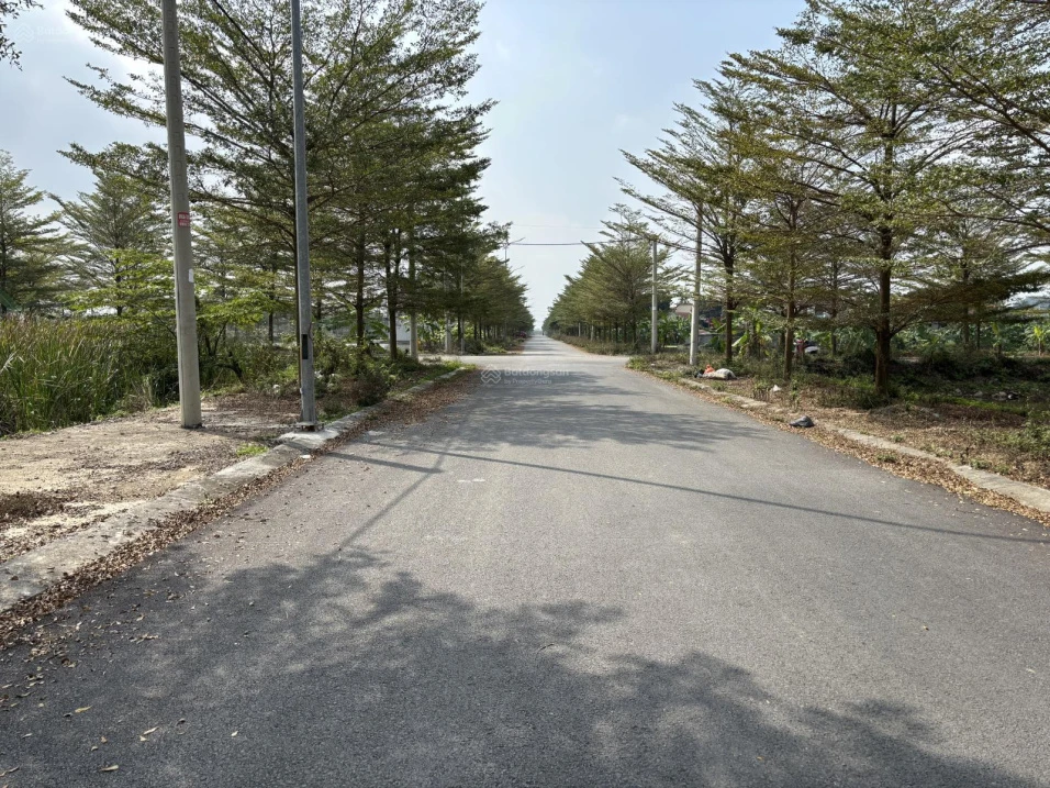 Bán đất khu hành chính Gia Viễn, Ninh Bình - Ảnh thu nhỏ 3