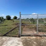 Bán đất nền 839m2 ở Lâm Đồng gần ngã tư Tân Nông - Ảnh thu nhỏ 1