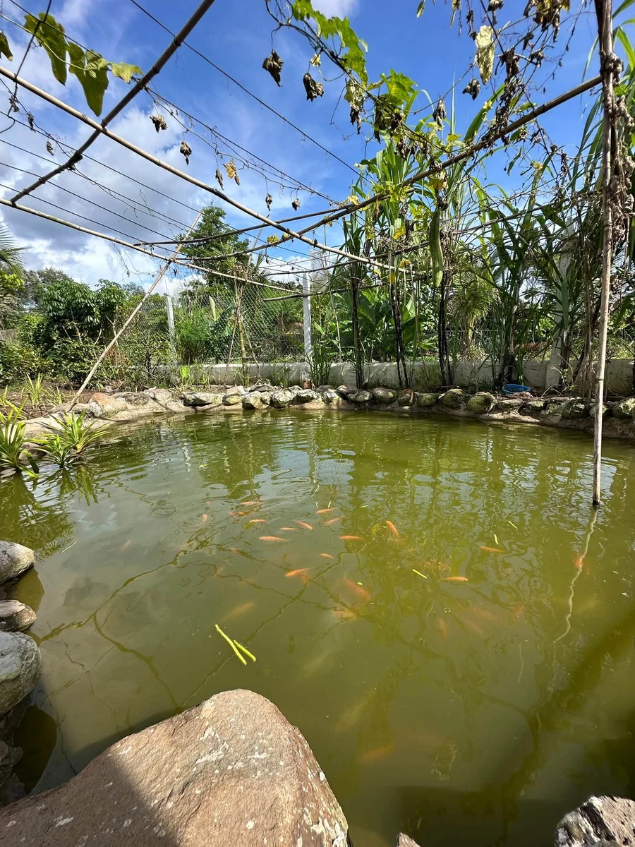 Bán nhà vườn 2186m2 mặt tiền đường nhựa lớn 32m tại Phường Bảo Vinh, Đồng Nai - Ảnh thu nhỏ 4