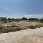 Bán đất thổ cư 650m² Phường Bình Thuận 2.1 tỷ - Ảnh thu nhỏ 4